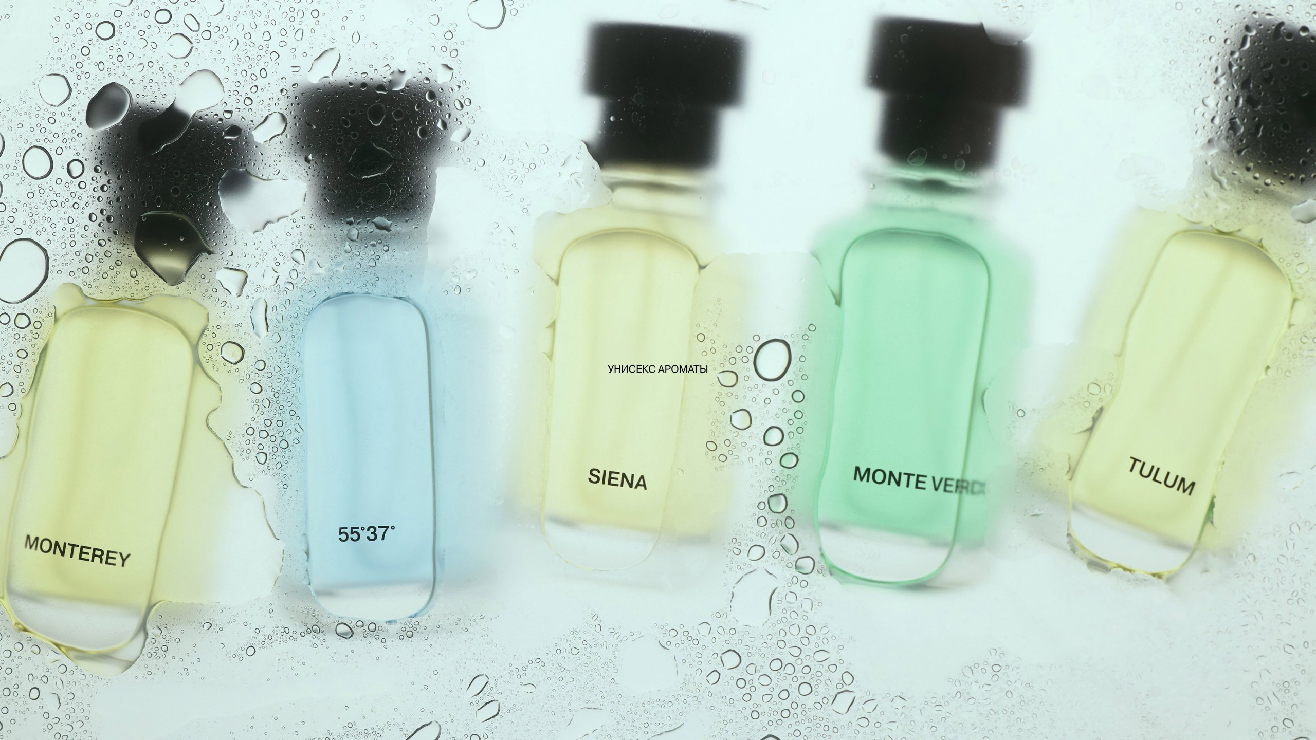 Lime-UNISEX