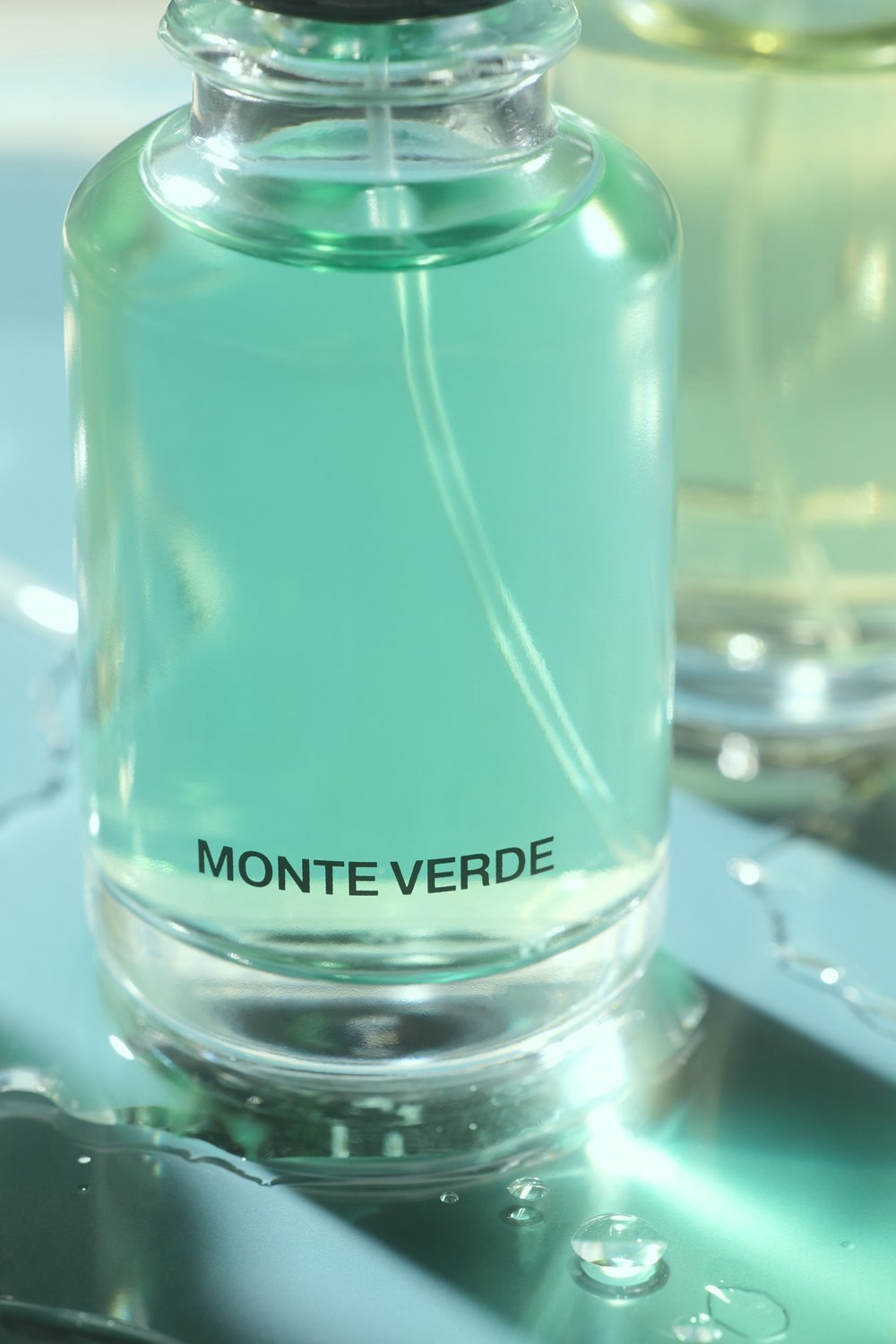 Парфюмерная вода Monte Verde