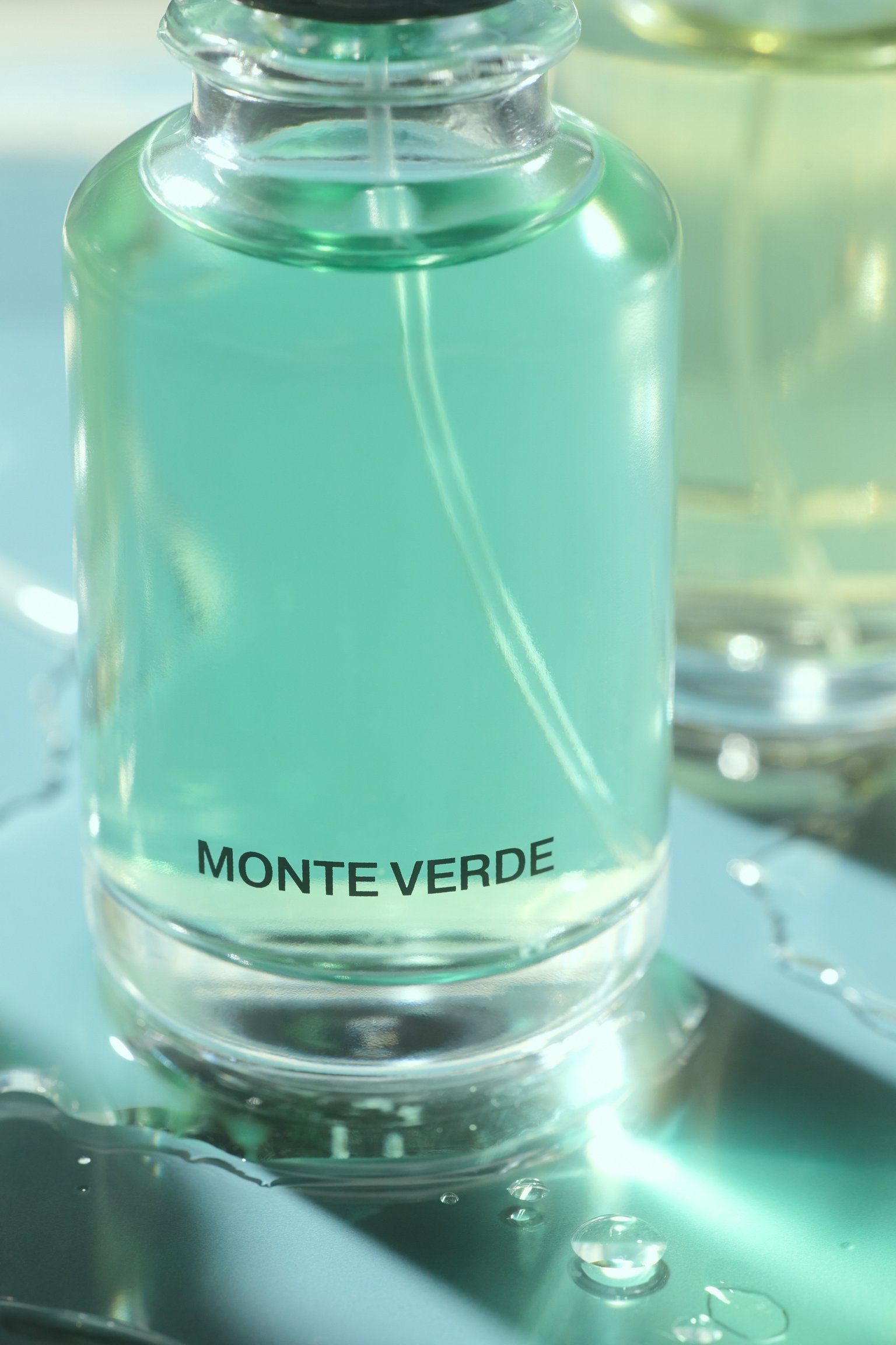 Парфюмерная вода Monte Verde